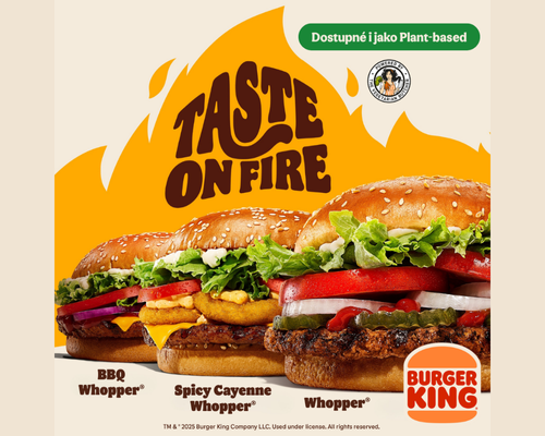 PRAVY VIZULU NA WEB 59