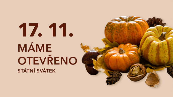 novinka 17 listopadu Serviska CZ