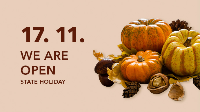 novinka 17 listopadu Serviska EN