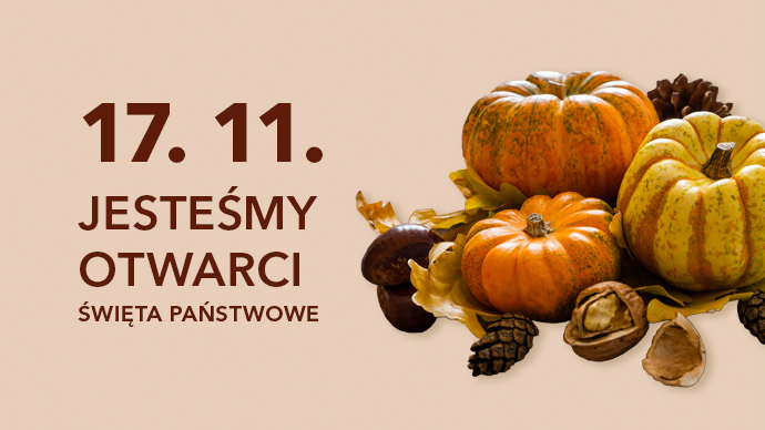 novinka 17 listopadu Serviska PL